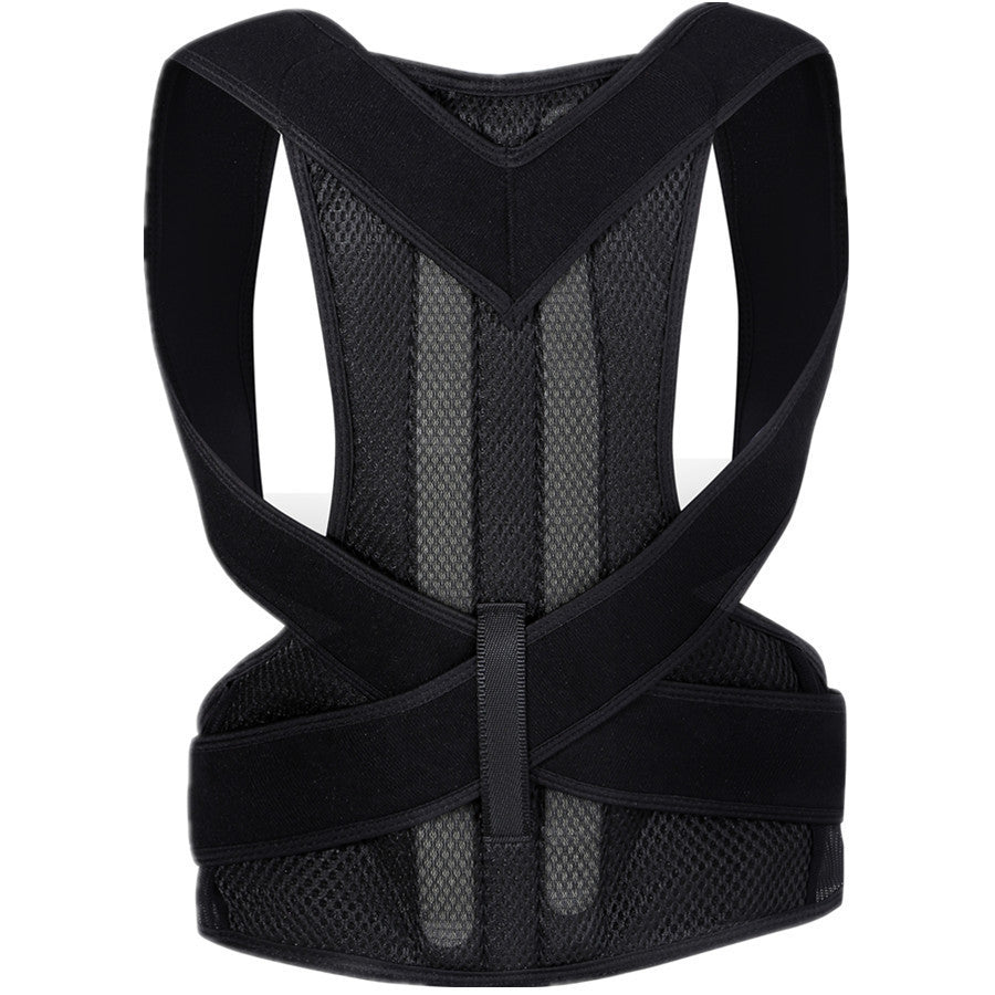 Posture Support Belt